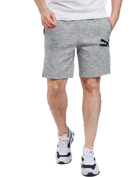 PUMA EvoTec Shorts Grey